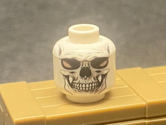 Skeleton head